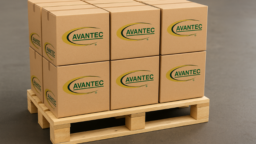 Descubra com a Avantec Transportes como soluções personalizadas tornam seus eventos mais ágeis e organizados.