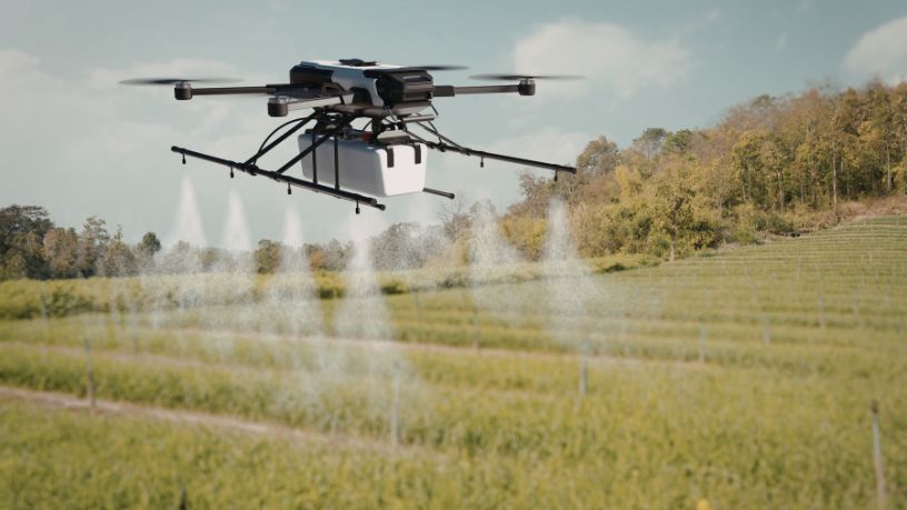 Parajara Moraes Alves Junior