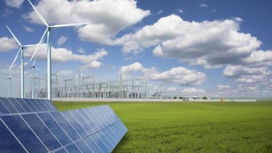 Parajara Moraes Alves Junior